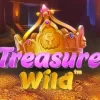 Treasure Wild