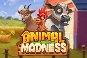 Animal Madness